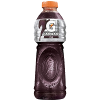 imagem de GATORADE 500ML UVA